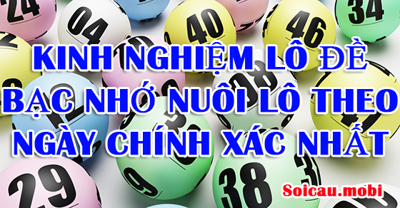 Kinh nghiệm nuôi lô theo ngày từ lô rơi theo lô Kinh nghiệm nuôi lô theo ngày từ lô rơi theo lô
